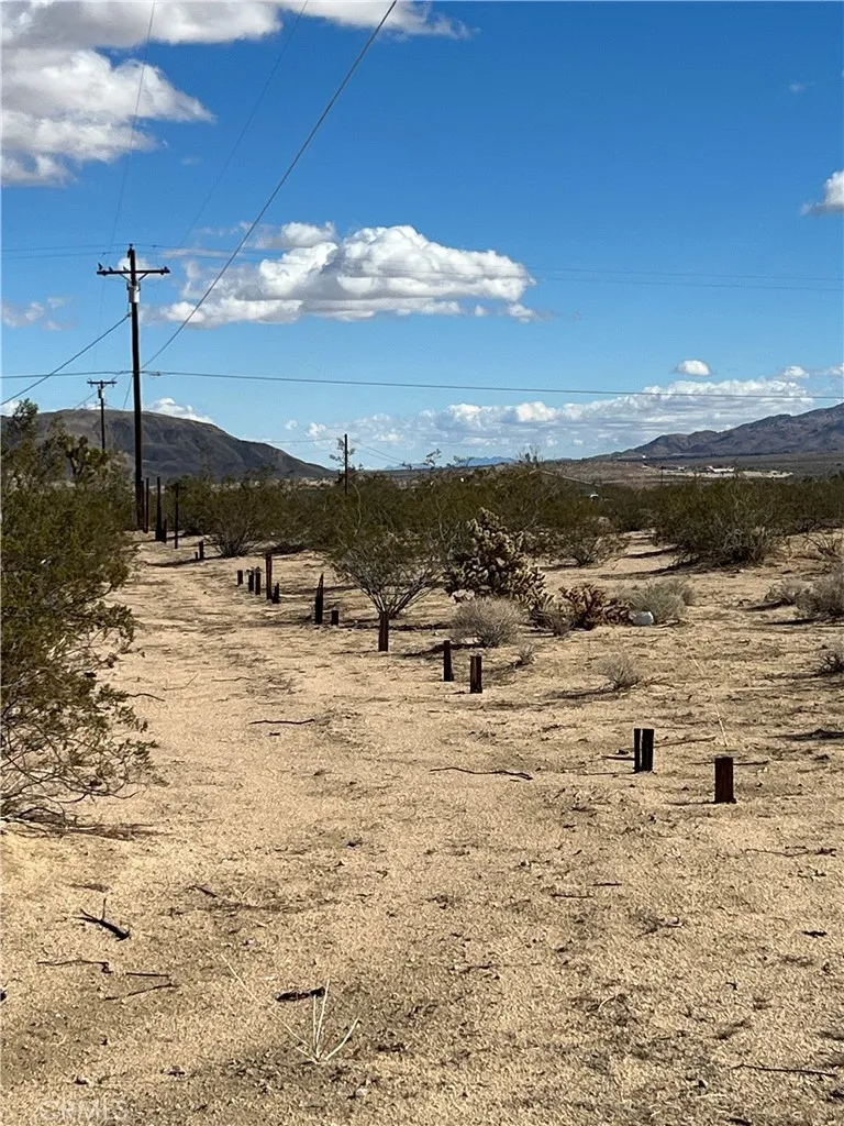 Uranium Road Joshua Tree, CA 92252