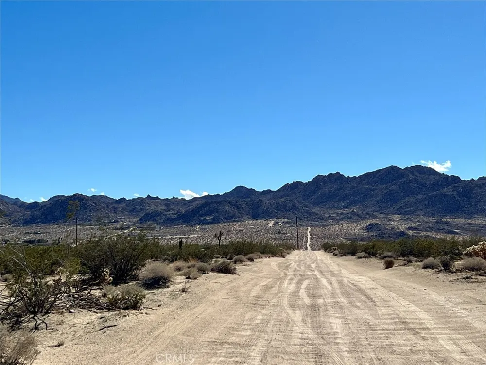 Uranium Road Joshua Tree, CA 92252
