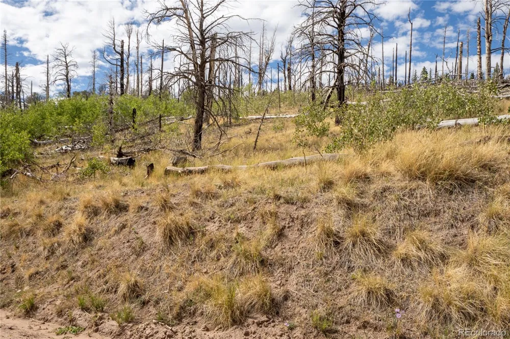 Lot 2748 Grojean Drive Fort Garland, CO 81133