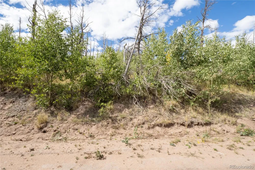 Lot 2748 Grojean Drive Fort Garland, CO 81133