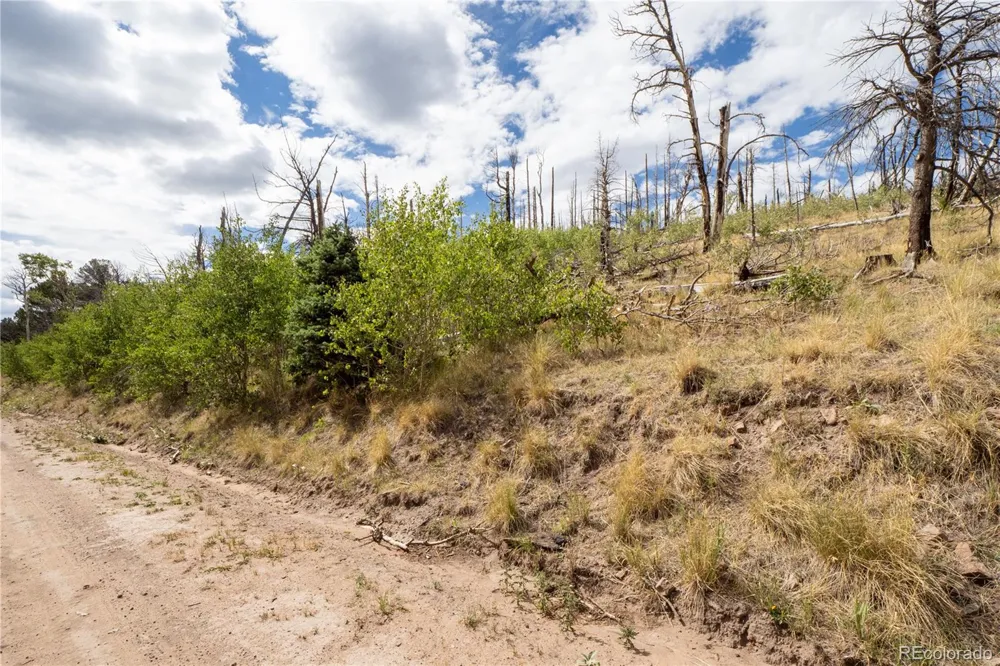 Lot 2748 Grojean Drive Fort Garland, CO 81133