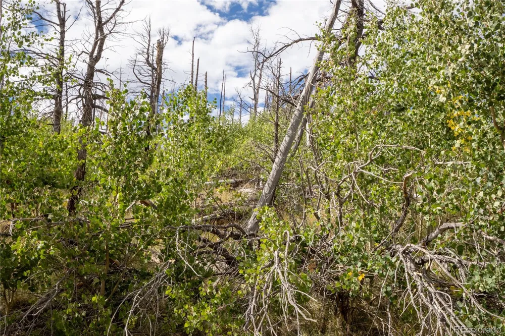 Lot 2748 Grojean Drive Fort Garland, CO 81133
