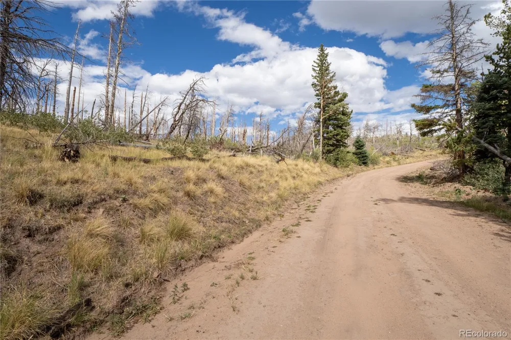 Lot 2748 Grojean Drive Fort Garland, CO 81133