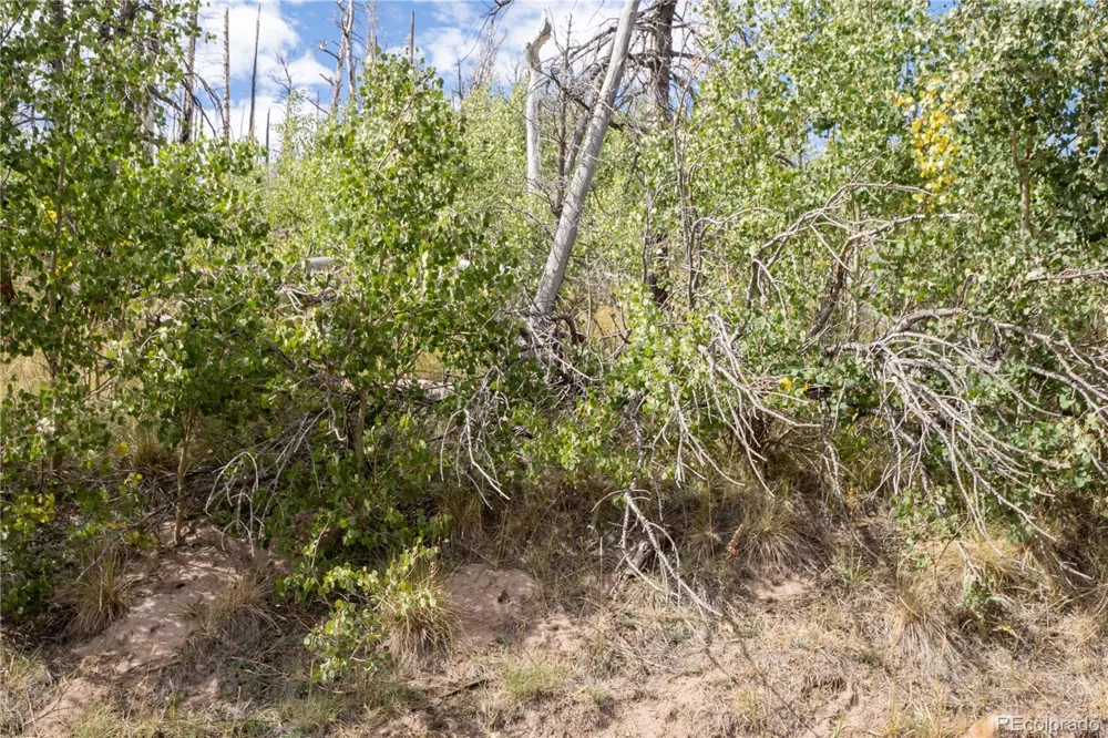 Lot 2748 Grojean Drive Fort Garland, CO 81133