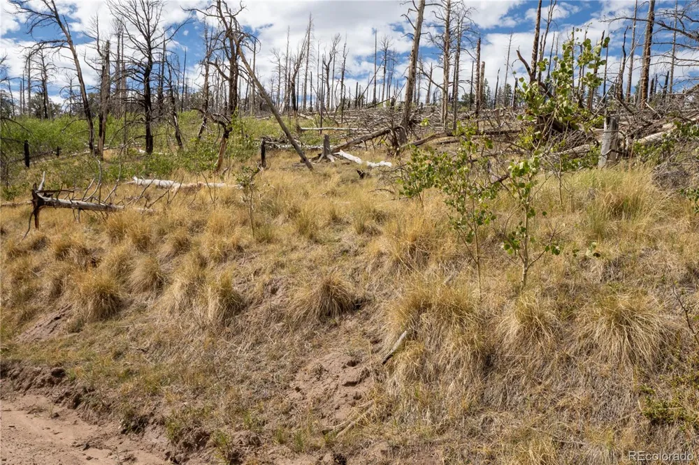 Lot 2748 Grojean Drive Fort Garland, CO 81133