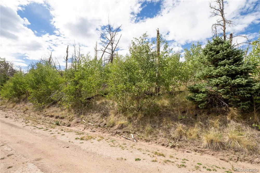 Lot 2748 Grojean Drive Fort Garland, CO 81133