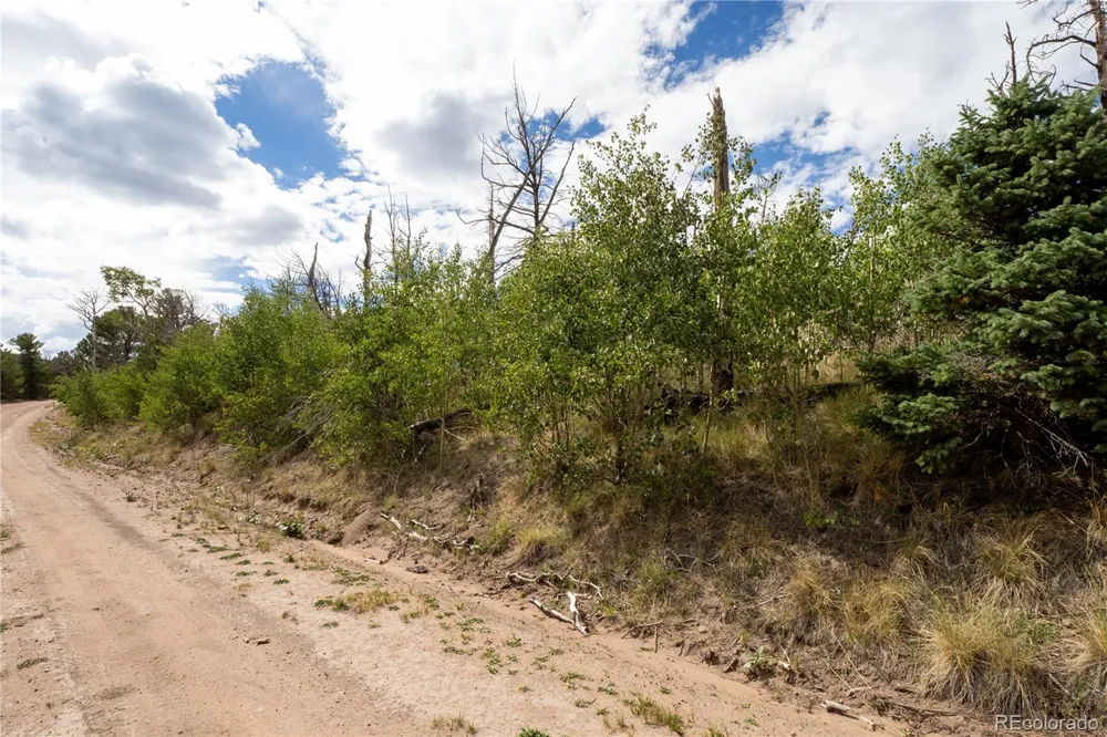 Lot 2748 Grojean Drive Fort Garland, CO 81133
