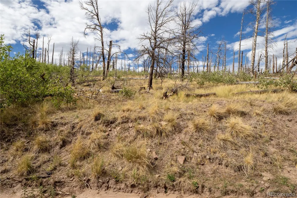 Lot 2748 Grojean Drive Fort Garland, CO 81133