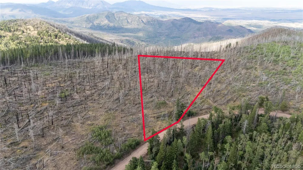 Lot 2748 Grojean Drive Fort Garland, CO 81133