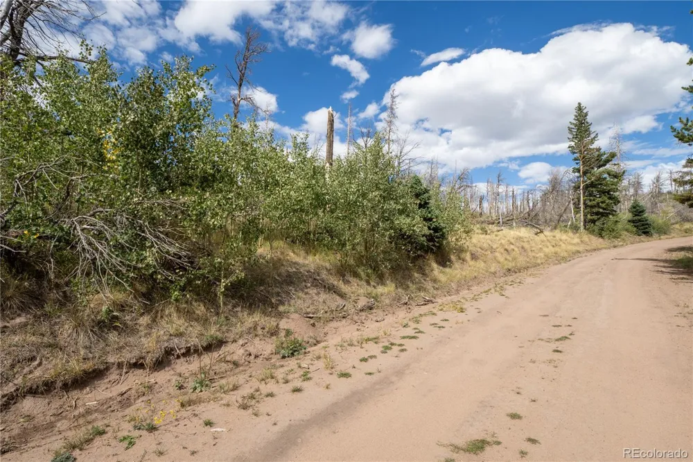 Lot 2748 Grojean Drive Fort Garland, CO 81133