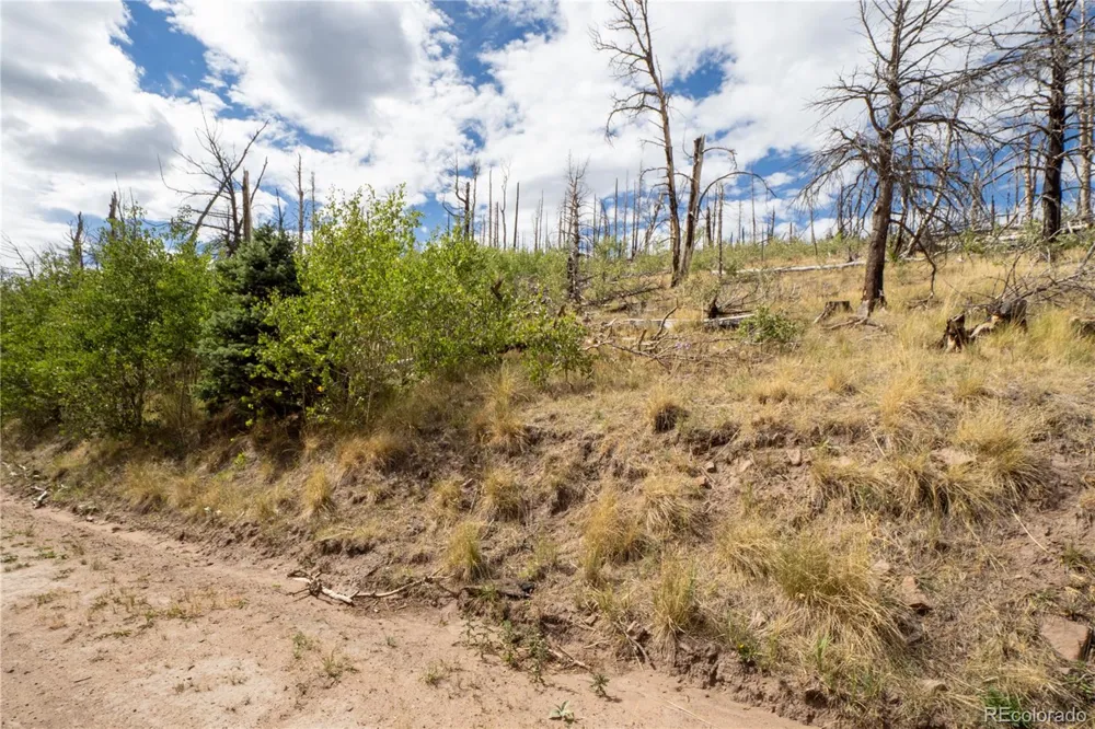 Lot 2748 Grojean Drive Fort Garland, CO 81133