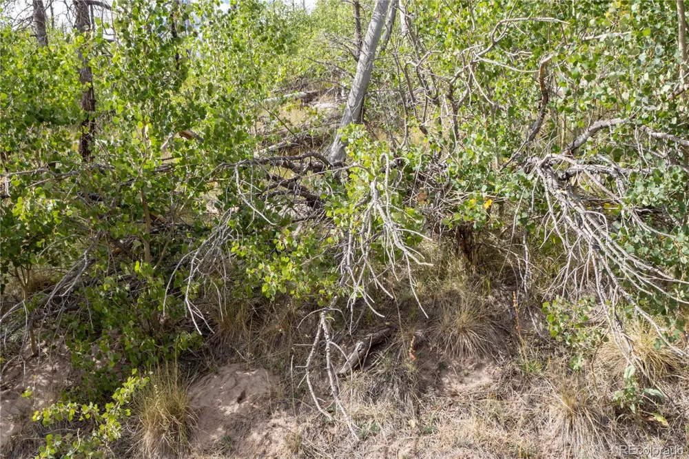Lot 2748 Grojean Drive Fort Garland, CO 81133