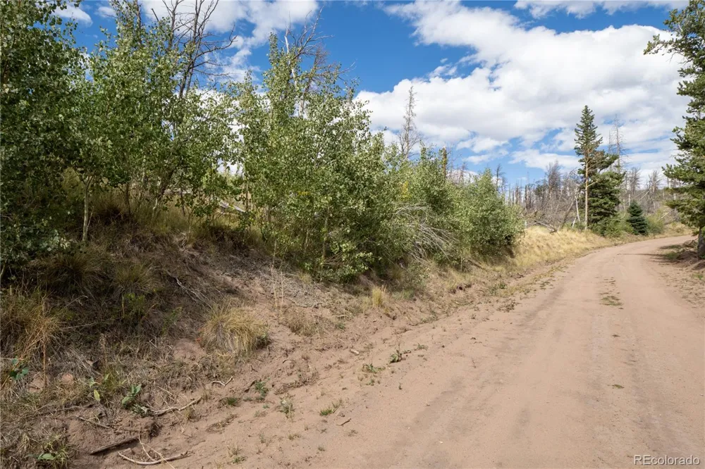 Lot 2748 Grojean Drive Fort Garland, CO 81133