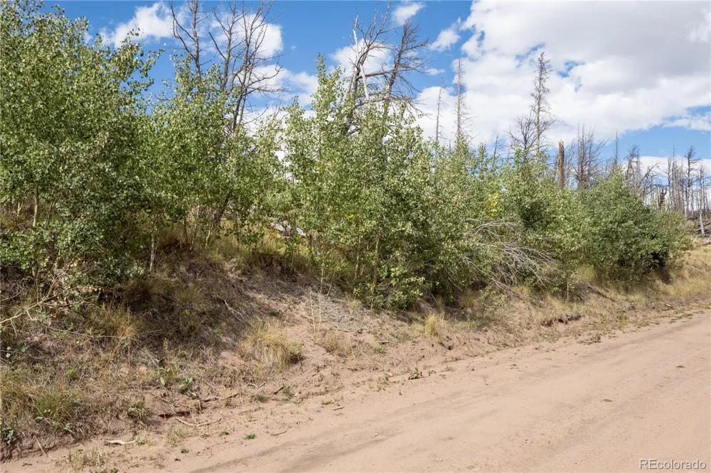 Lot 2748 Grojean Drive Fort Garland, CO 81133