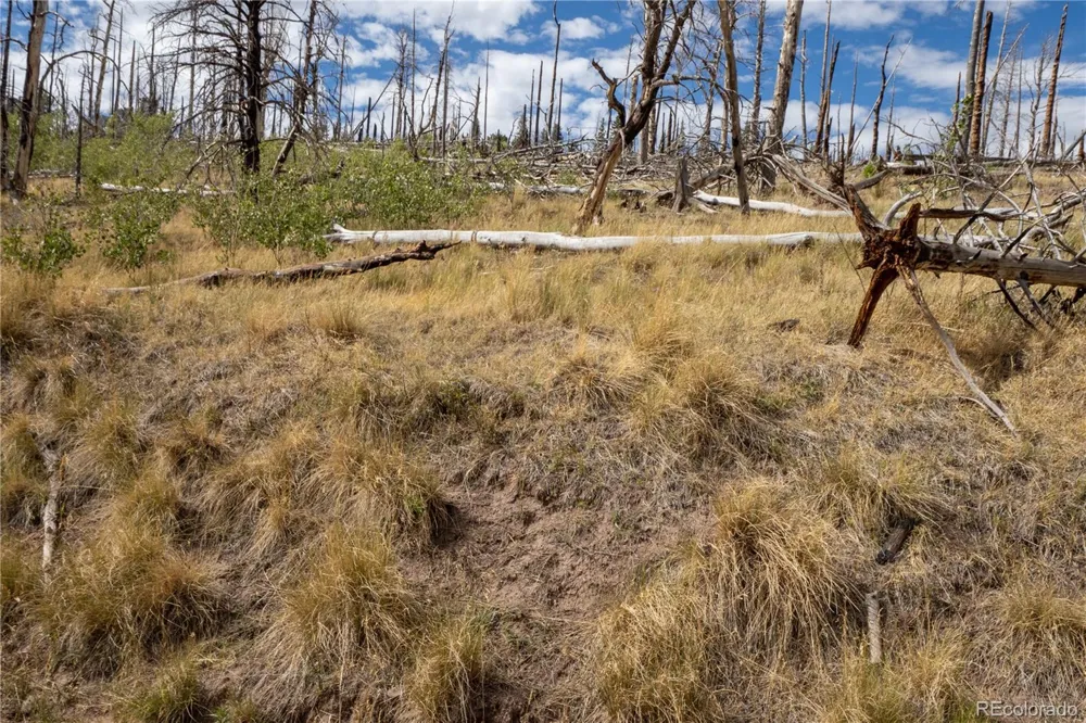 Lot 2748 Grojean Drive Fort Garland, CO 81133