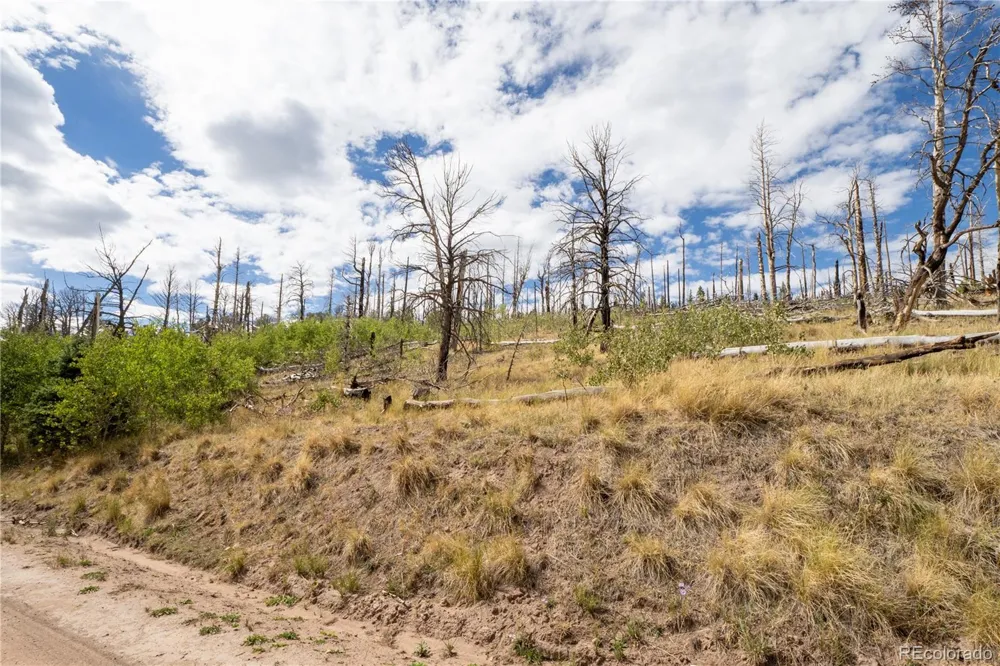 Lot 2748 Grojean Drive Fort Garland, CO 81133