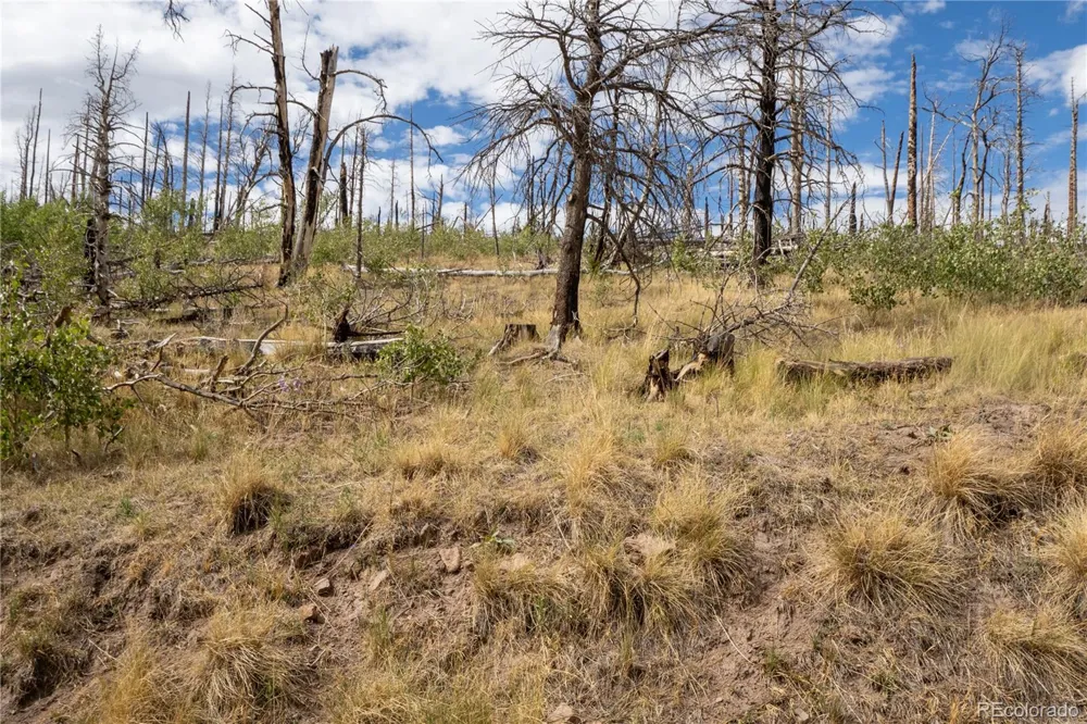 Lot 2748 Grojean Drive Fort Garland, CO 81133