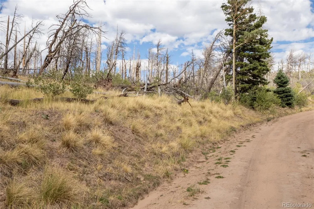 Lot 2748 Grojean Drive Fort Garland, CO 81133