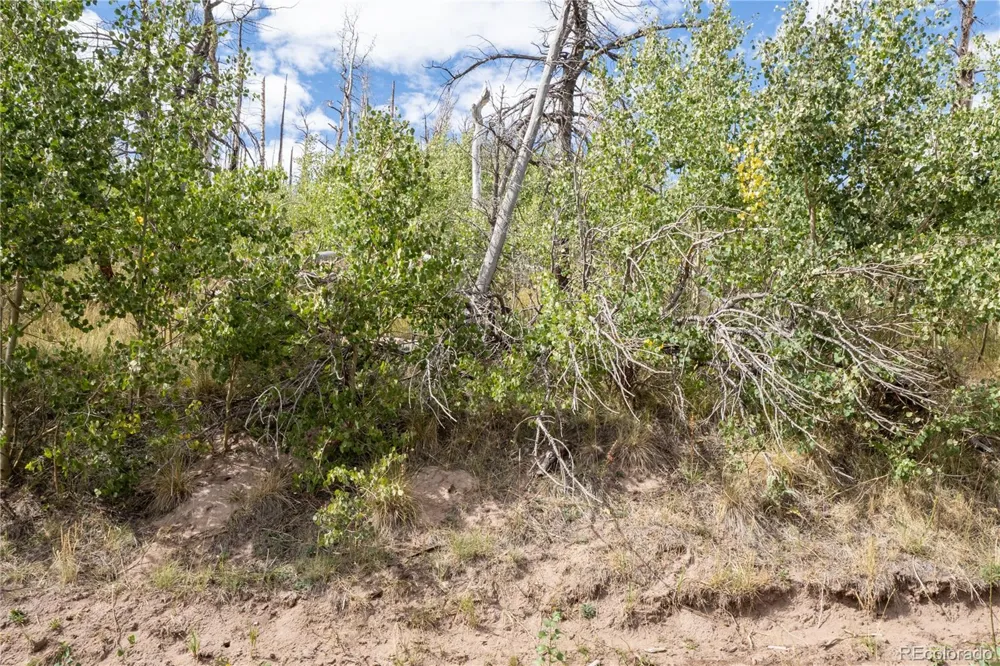 Lot 2748 Grojean Drive Fort Garland, CO 81133