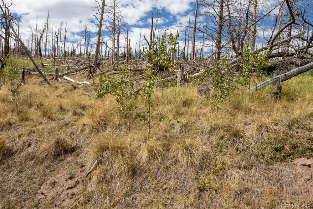 Lot 2748 Grojean Drive Fort Garland, CO 81133