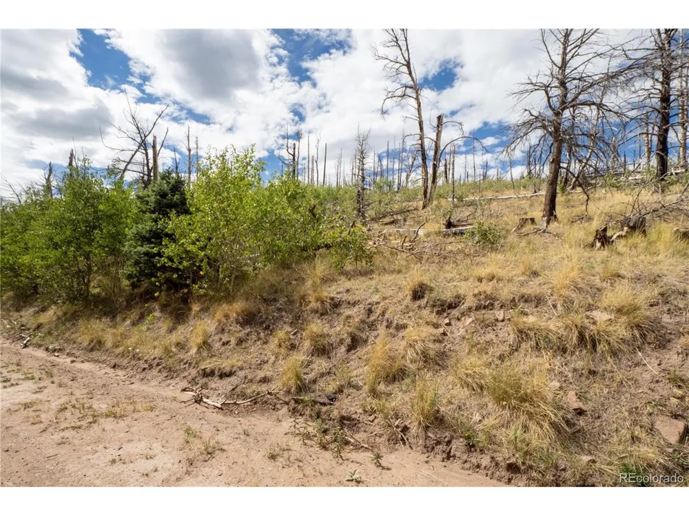 2748 Grojean Drive Fort Garland, CO 81133
