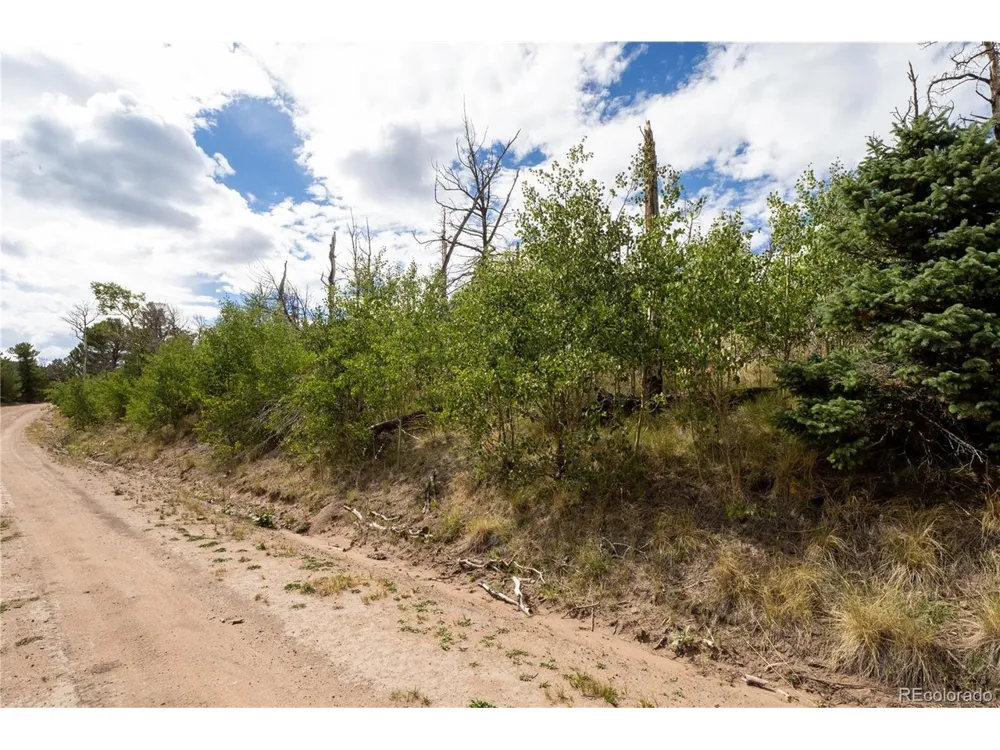 2748 Grojean Drive Fort Garland, CO 81133