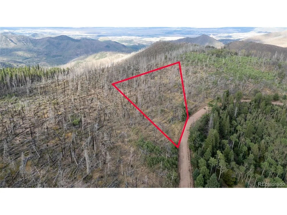 2748 Grojean Drive Fort Garland, CO 81133