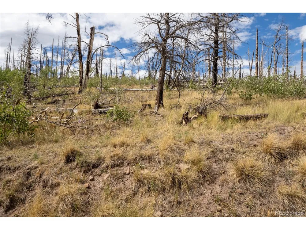 2748 Grojean Drive Fort Garland, CO 81133