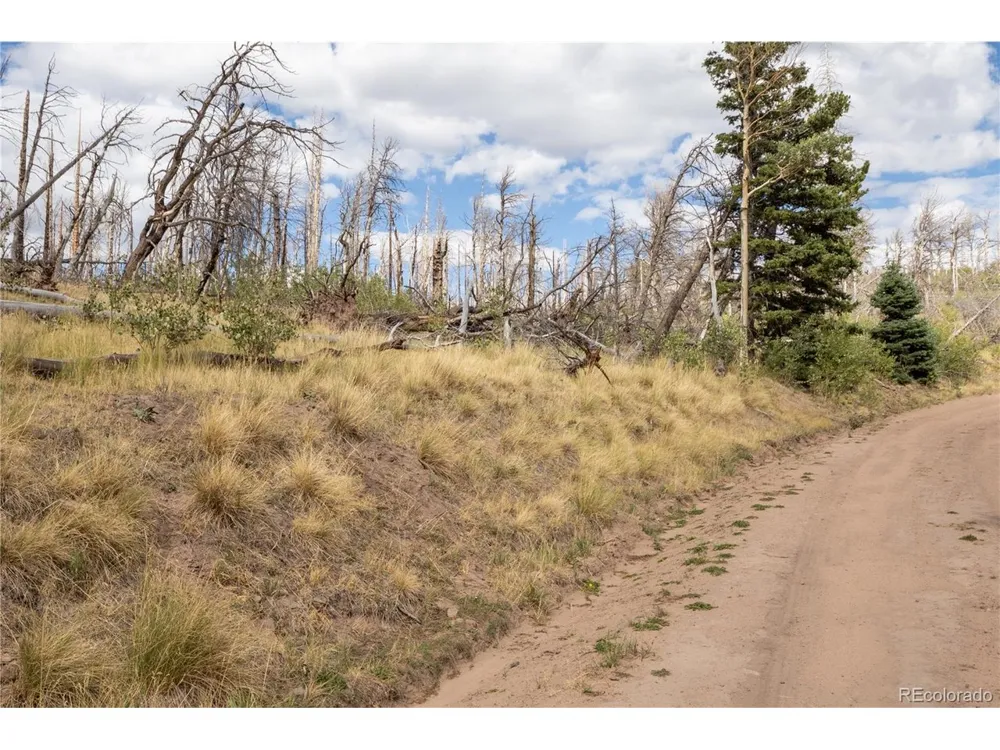 2748 Grojean Drive Fort Garland, CO 81133