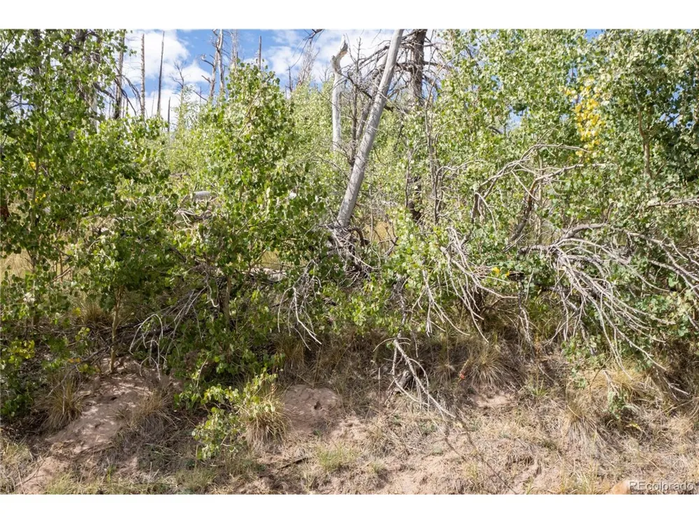 2748 Grojean Drive Fort Garland, CO 81133