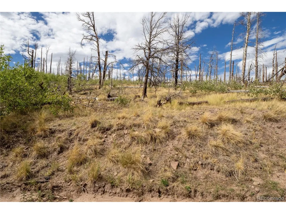 2748 Grojean Drive Fort Garland, CO 81133