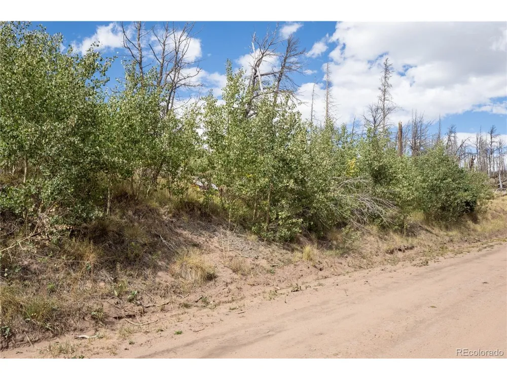 2748 Grojean Drive Fort Garland, CO 81133