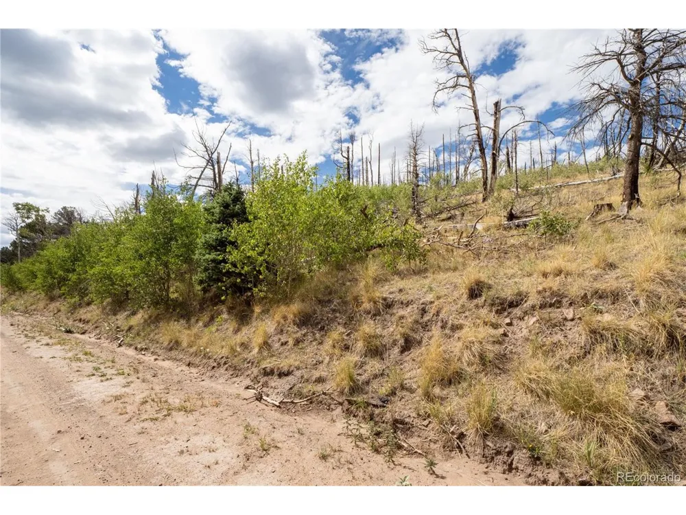 2748 Grojean Drive Fort Garland, CO 81133