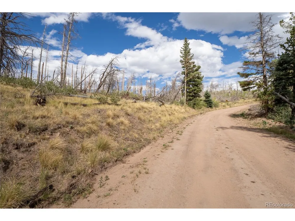 2748 Grojean Drive Fort Garland, CO 81133