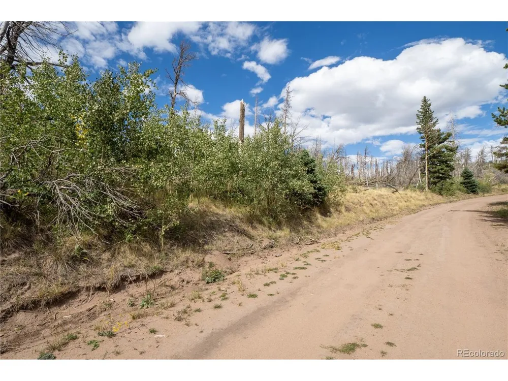 2748 Grojean Drive Fort Garland, CO 81133