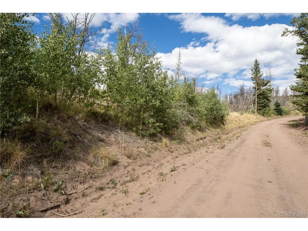 2748 Grojean Drive Fort Garland, CO 81133