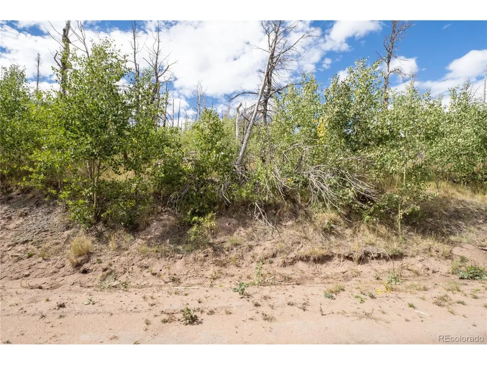 2748 Grojean Drive Fort Garland, CO 81133