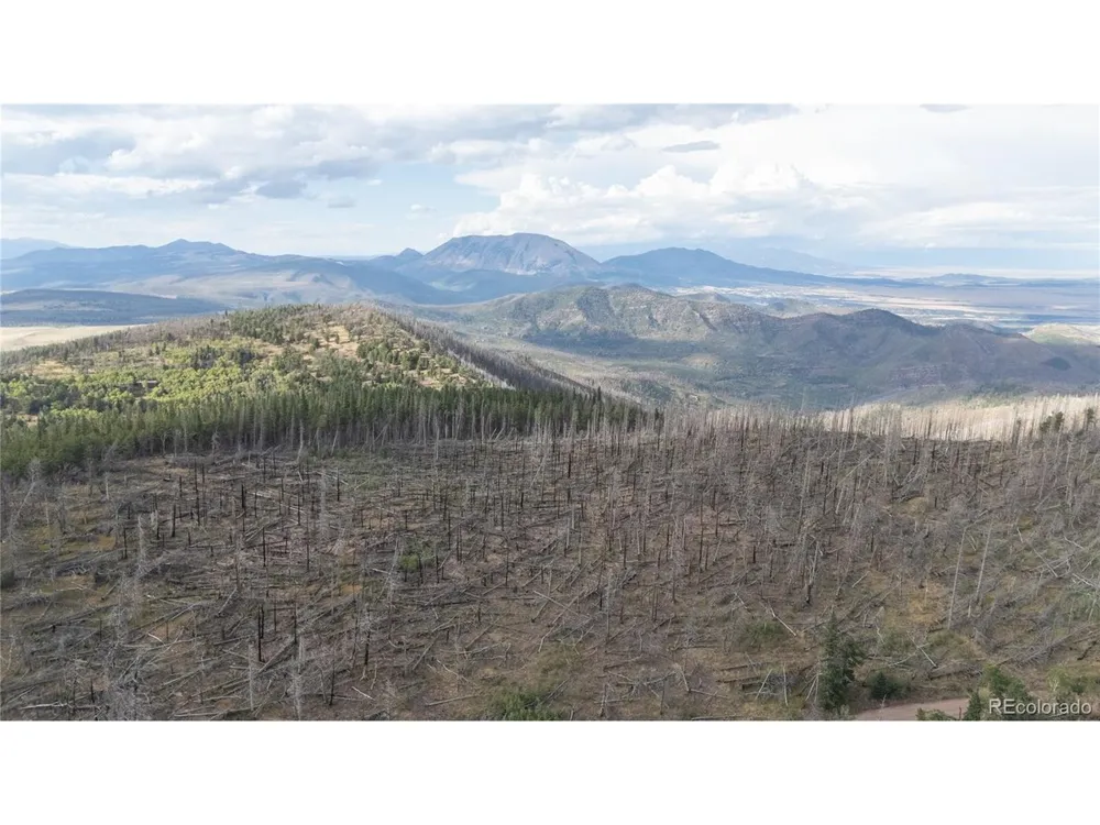 2748 Grojean Drive Fort Garland, CO 81133