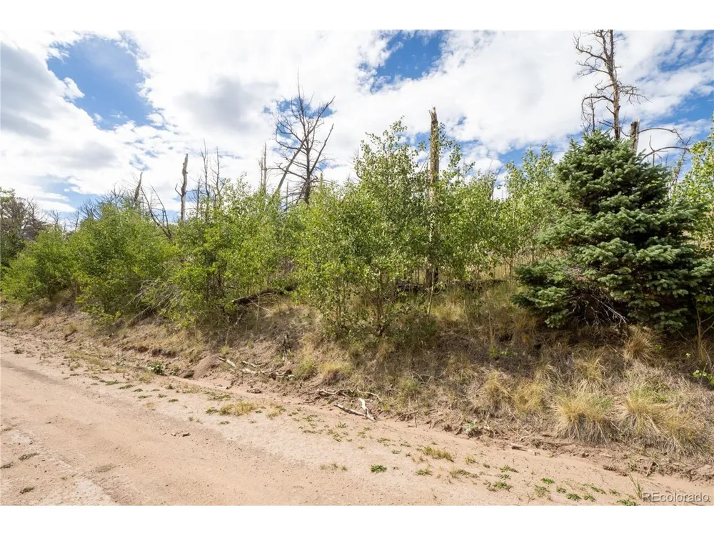 2748 Grojean Drive Fort Garland, CO 81133