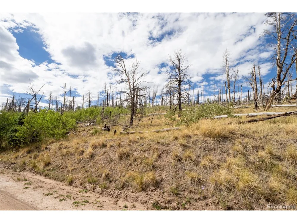 2748 Grojean Drive Fort Garland, CO 81133