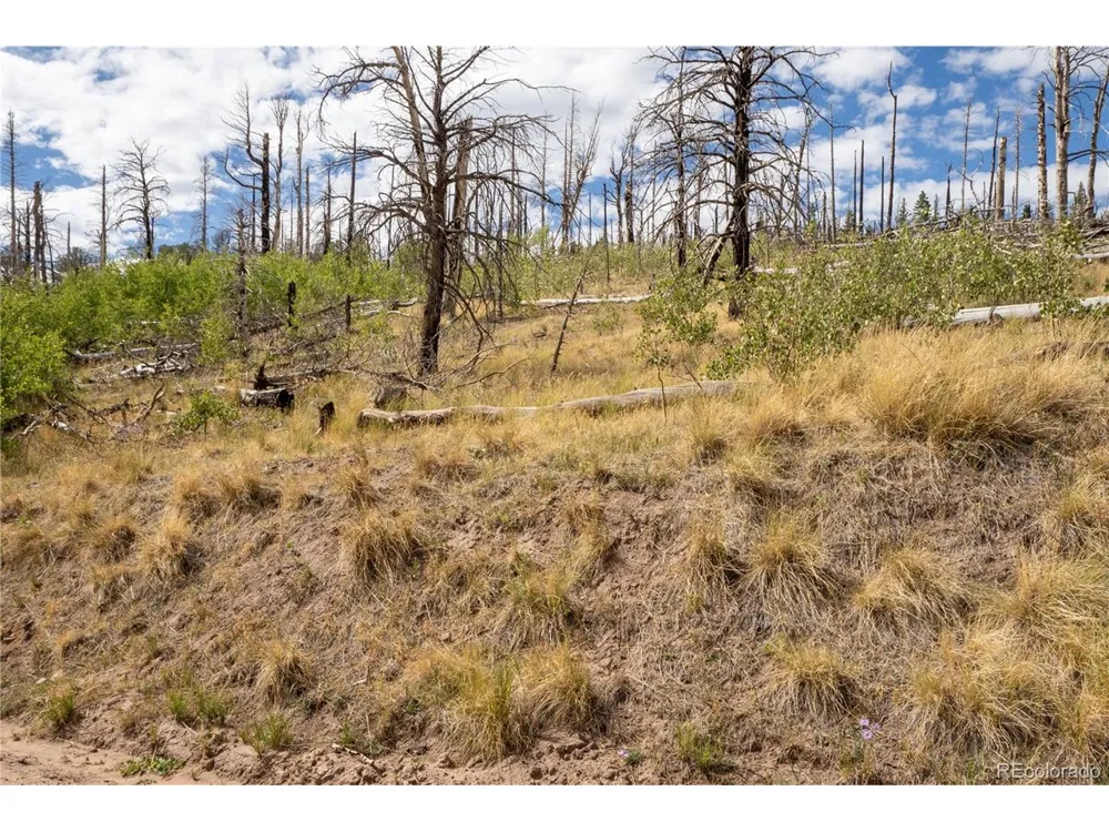 2748 Grojean Drive Fort Garland, CO 81133