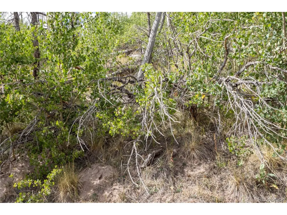 2748 Grojean Drive Fort Garland, CO 81133