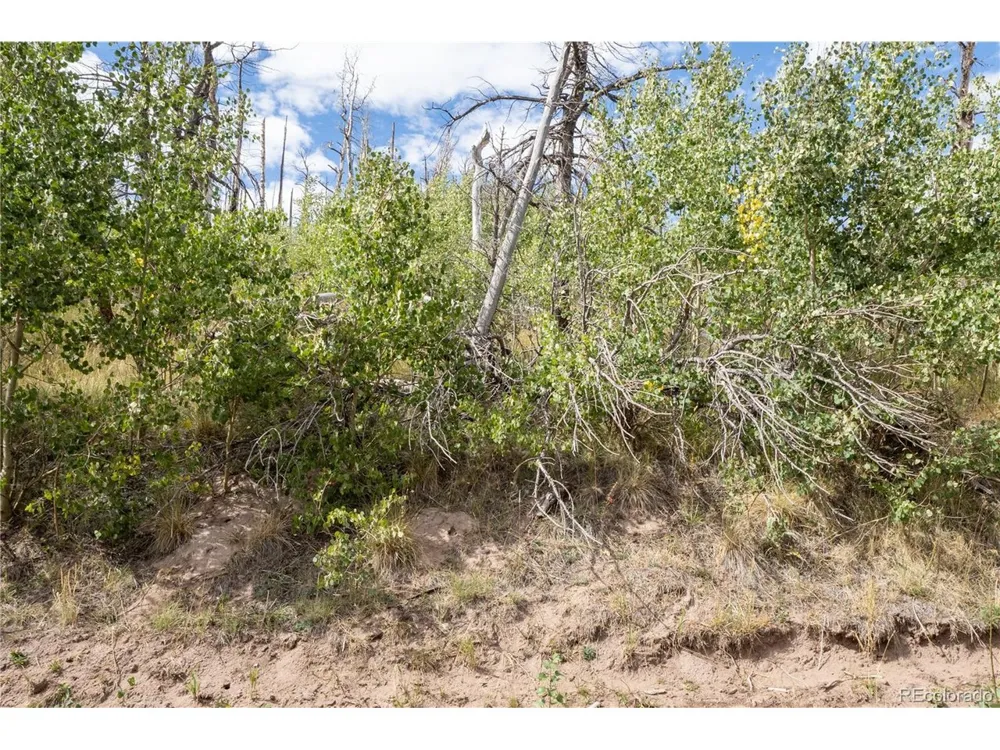 2748 Grojean Drive Fort Garland, CO 81133