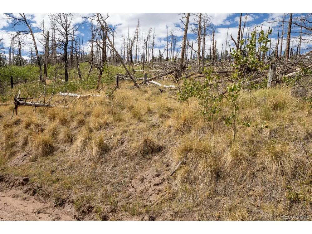 2748 Grojean Drive Fort Garland, CO 81133