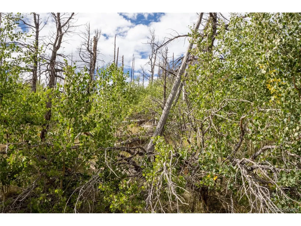 2748 Grojean Drive Fort Garland, CO 81133