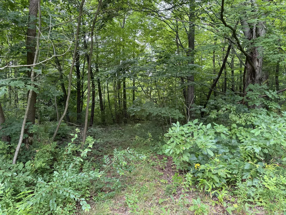 35716 M 140 Highway Covert Township, MI 49043