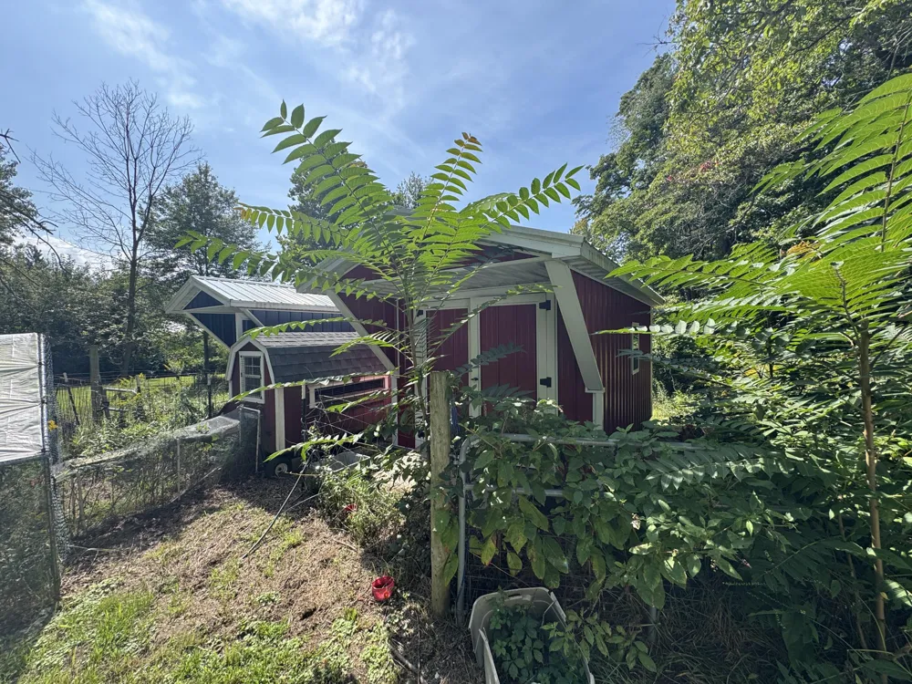 35716 M 140 Highway Covert Township, MI 49043