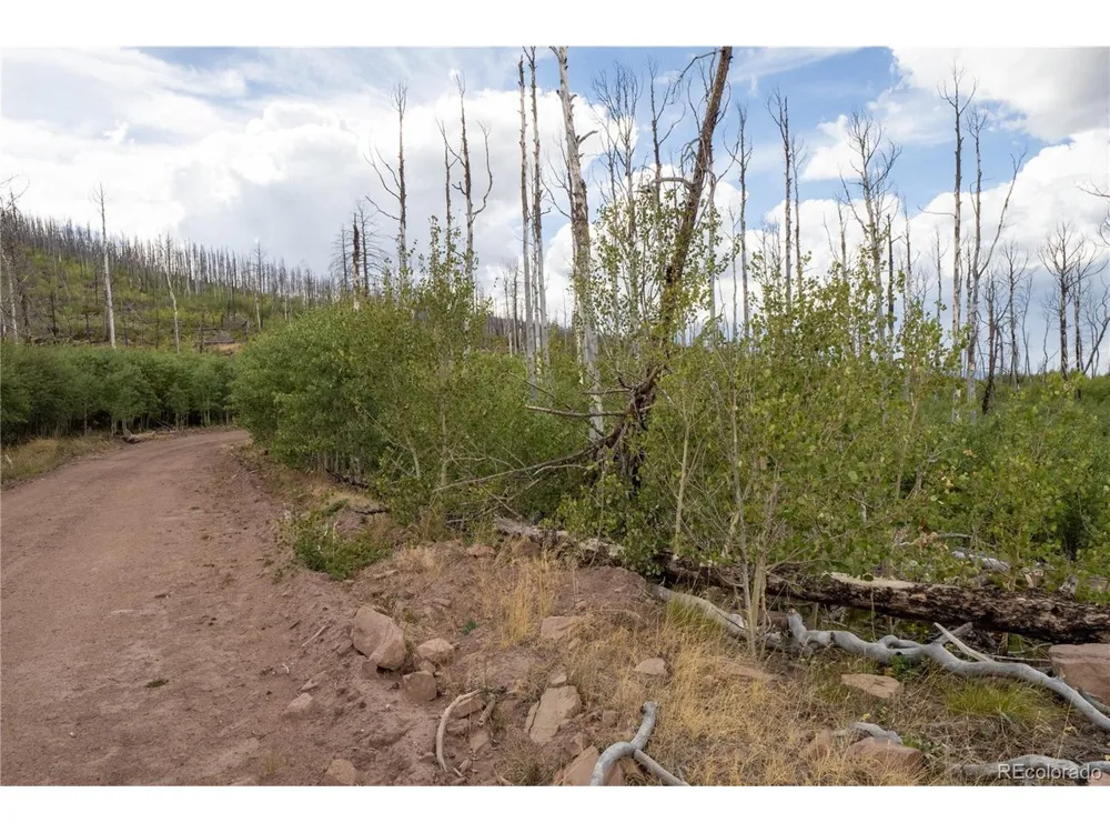 1947 Hilda Lane Fort Garland, CO 81133