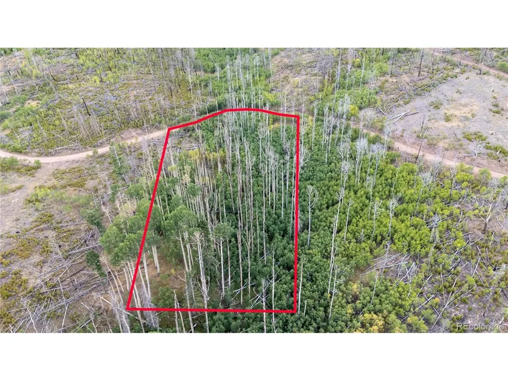 1947 Hilda Lane Fort Garland, CO 81133