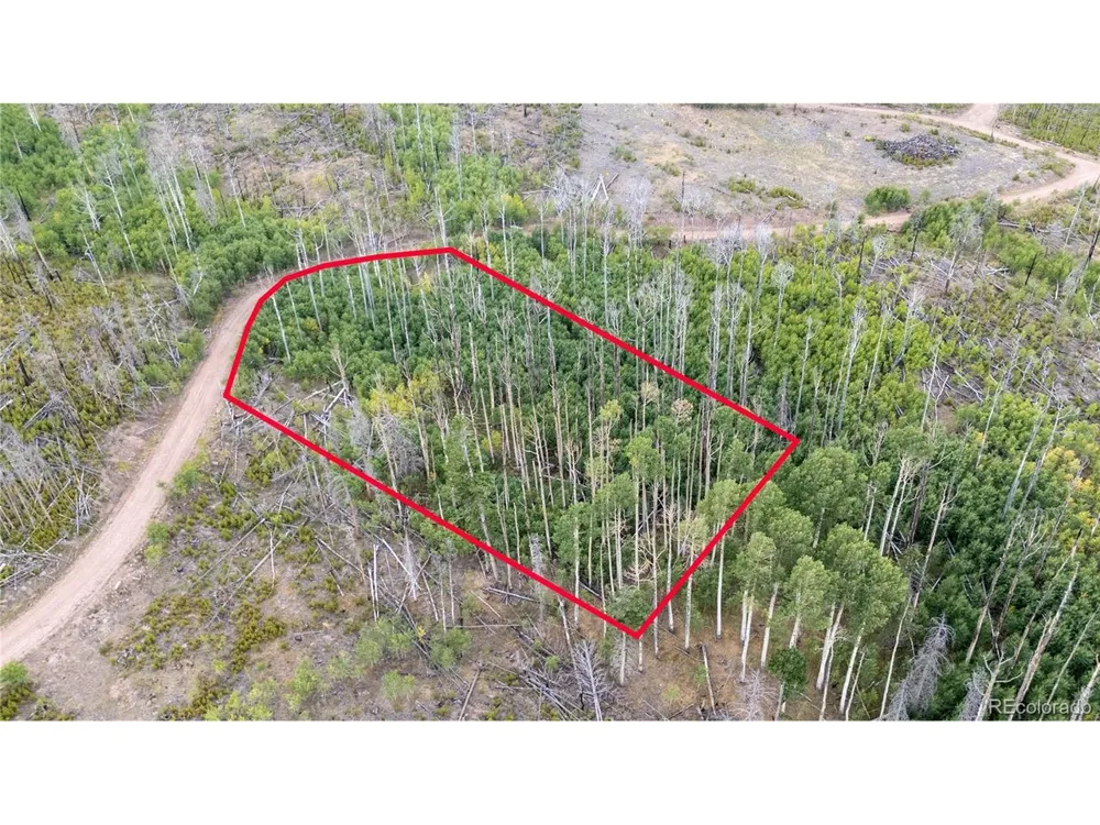 1947 Hilda Lane Fort Garland, CO 81133